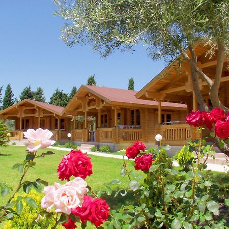 Sandys Studios Apartments And Log Villas Psalidi  Eksteriør billede